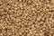 Background of Sprouted Sorghum Grains