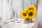 Background still life flower sunflower wooden white vintage