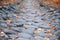 Background stone cobbles path with fallen autumn leaves. Canal for water drainage in the Park