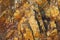 Background stone. Orange, beige or yellow stone for background. Beautiful stone structure or texture. Design with copy space