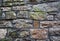 Background of stone wall texture for design in your work backdrop concept.