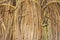 Background of straw hay close-up. Texture of straw hay