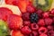 Background of strawberries, kiwi, currants, raspberry, pineapple, blackberry.