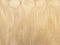 Background of striated light brown  plywood board