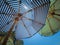 Background of striped colored beach umbrellas, view from the bottom, against the sky