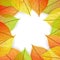 Background with stylize autumn leaves