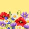 Background with summer flowers.