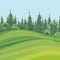 Background of summer forest with large firs and green meadow