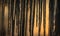 Background, sun dawning on icicles hanging low from roof edge. Abstract of natural icicle formation, lighted by sunrise.