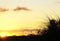 Background sunset behind beach sand dunes