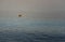 Background of a sunset by the sea with a red plastic buoy floating on the calm water