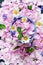 Background of tea rose petals with flowers of daisies, violets