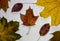 Background texture: Autumn fallen leaves.