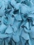 Background texture blue leaf for making a ilustration