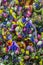 Background texture of bouquet of colorful flowers