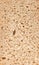 Background texture of bread crumb