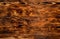 Background texture from burned brown pine wood