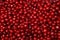 Background texture cherry