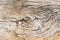 Background texture - close up of an ancient tree knot