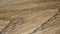 Background texture. closeup detail of a wooden beige surface