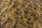 Background, texture - cracks on dry soil