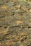 Background, texture - dark brown layered natural rock with light brown spots