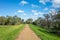 Background texture of a dirt footpath/hiking trail leads to the woods in a park against the blue sky.