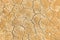 Background, texture - dry earth with mudcracks
