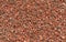 Background texture of expanded clay pellets