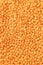 Background texture fine yellow lentils, legumes