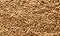 Background texture or fresh raw dried coffee beans