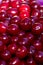 Background or texture of freshly picked red cherries. Various shades of red. Natural vitamins. Natural background.