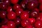 Background or texture of freshly picked red cherries. Various shades of red. Natural vitamins. Natural background.