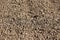 Background texture of freshly plowed field after using harrows