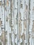 Background texture gray broken paint on old garage wooden door