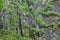 Background texture of a gray brown stone on the rock of the mountain discovered during archaeological excavations as a monument to