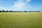 Background texture of a large sports ground with green grass against blue sky with some Australian suburban homes in the distance.