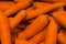 Background or texture from a lot of the washed bright carrots. Vitamins and vegetables. Healthy lifestyle. Basis for juice. Orange