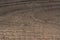 Background texture of old wooden plank