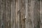 Background, texture - plank fence from unpainted boards