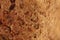 Background texture of a porous brown bread