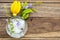 Background texture purple flower ,yellow flower ylang ylang and iced water in glass