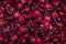 Background and texture of red roselle. Pile of red roselle for m
