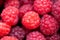 background texture ripe juicy berry raspberry closeup