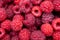 background texture ripe juicy berry raspberry closeup