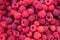 background texture ripe juicy berry raspberry closeup