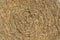 Background texture, round straw bale