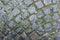 Background, texture, round vintage stone gray pavers with raindrops