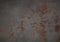 Background texture of rusty brushed metal