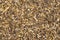 Background texture sawdust and woodworking waste